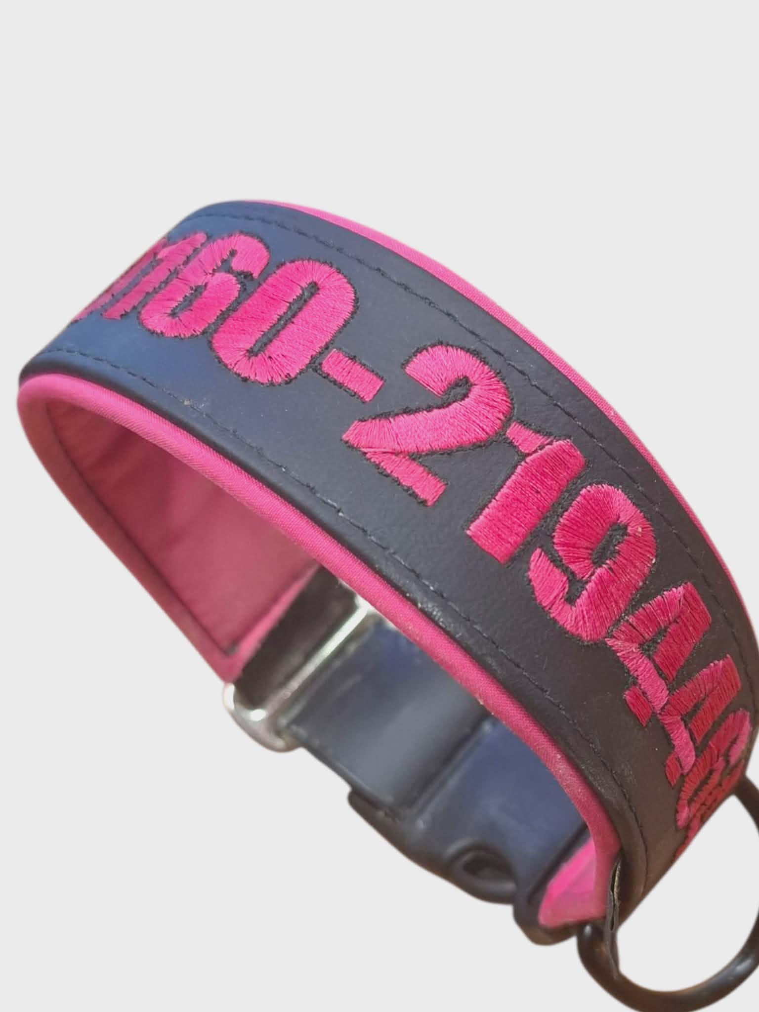 Stake-Out Biothane Halsband 38mm mit Softshell Polsterung und stabiler Steckschnalle