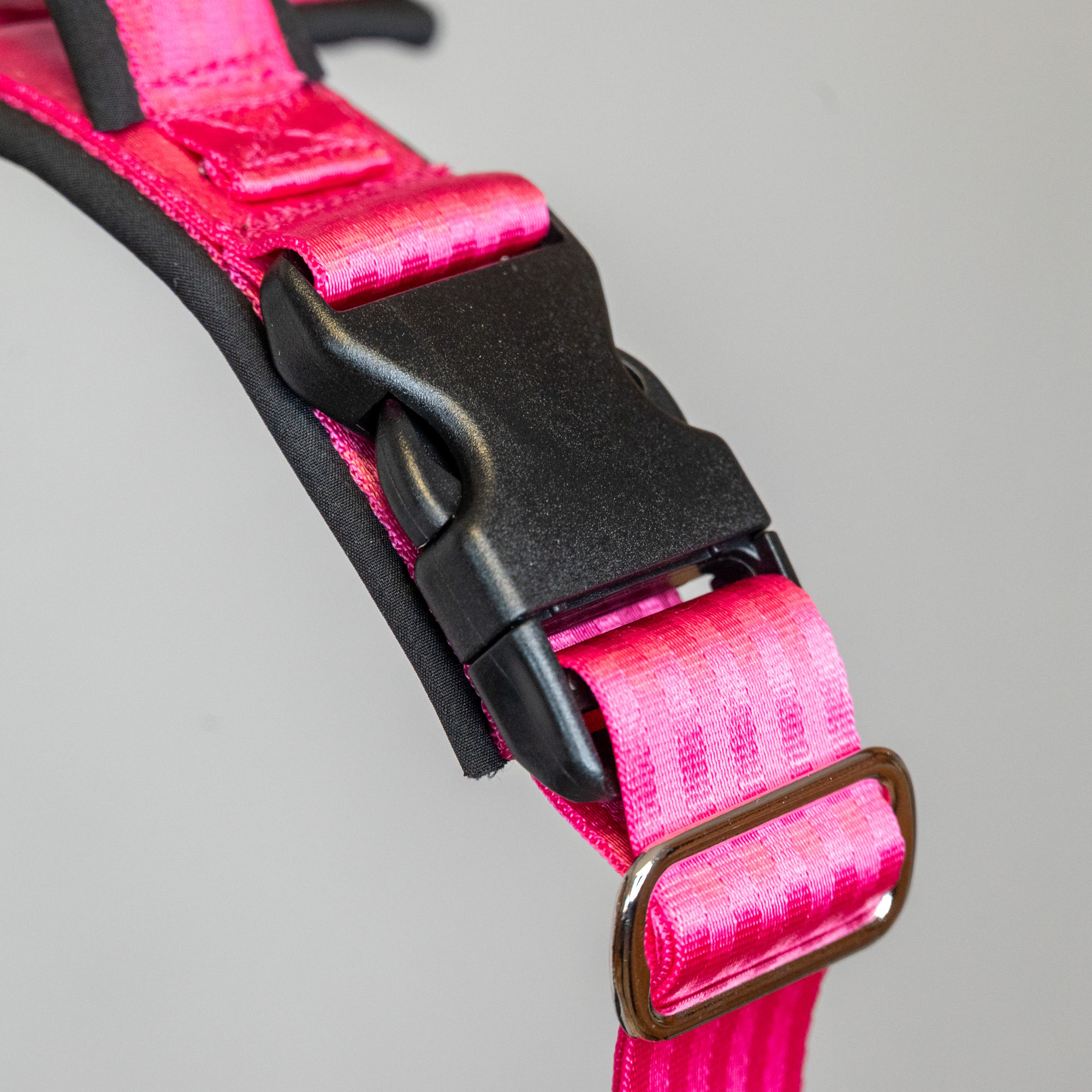 Unterpolsterte Steckschnalle des Stake-Out EXTREM Hundegeschirrs