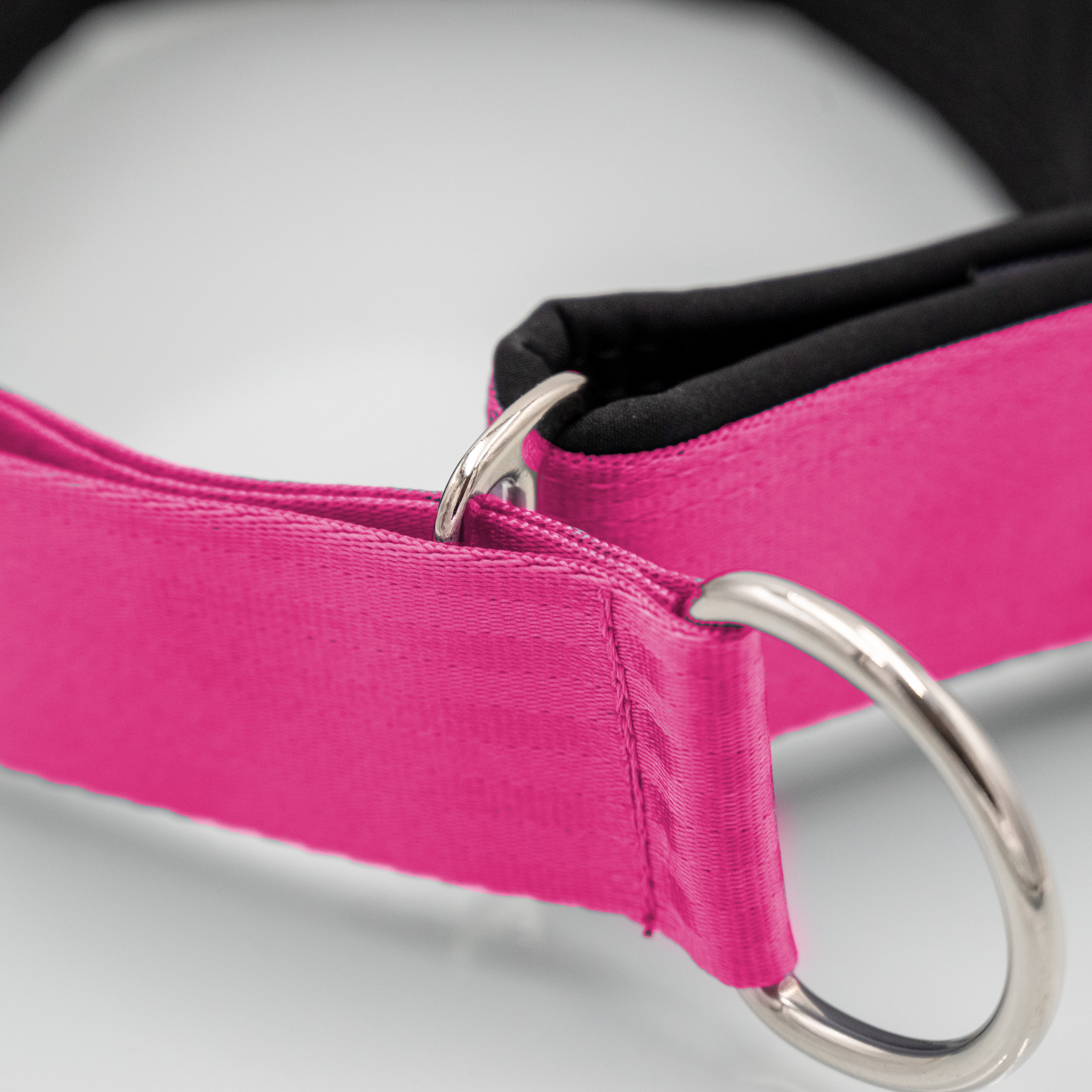 Detailaufnahme Zugstopp-Schieber am Sicherheitsgurt-Hundehalsband mit Softshell_var1