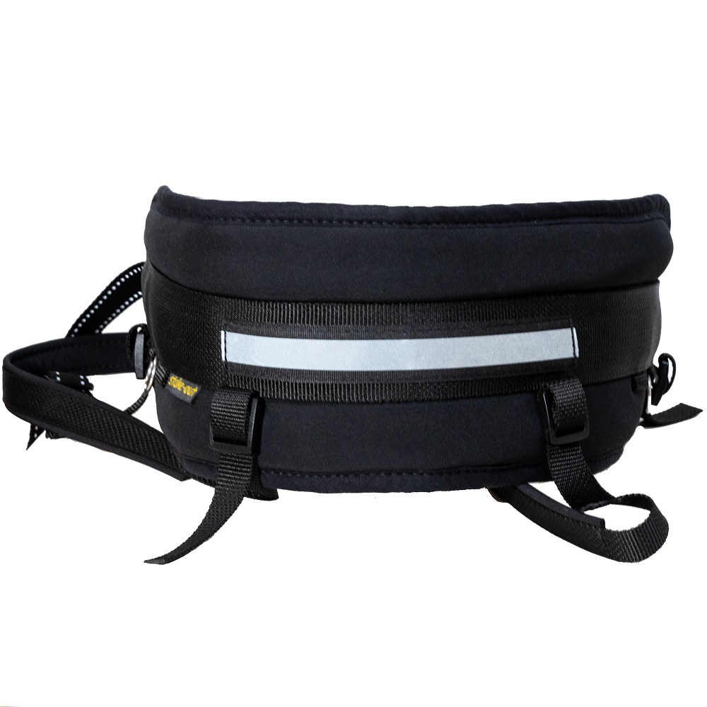 Zughundegürtel in Schwarz mit Reflexstreifen, Gurtbändern und Befestigungsringen auf weißem Hintergrund