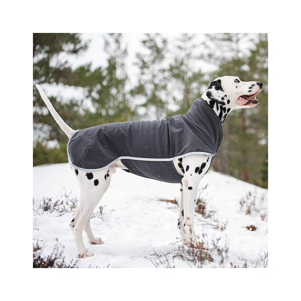 Hund mit Pomppa Sportti Softshell Regenmantel in der Natur, idealer Begleiter für Training und Spaziergänge bei jedem Wetter.