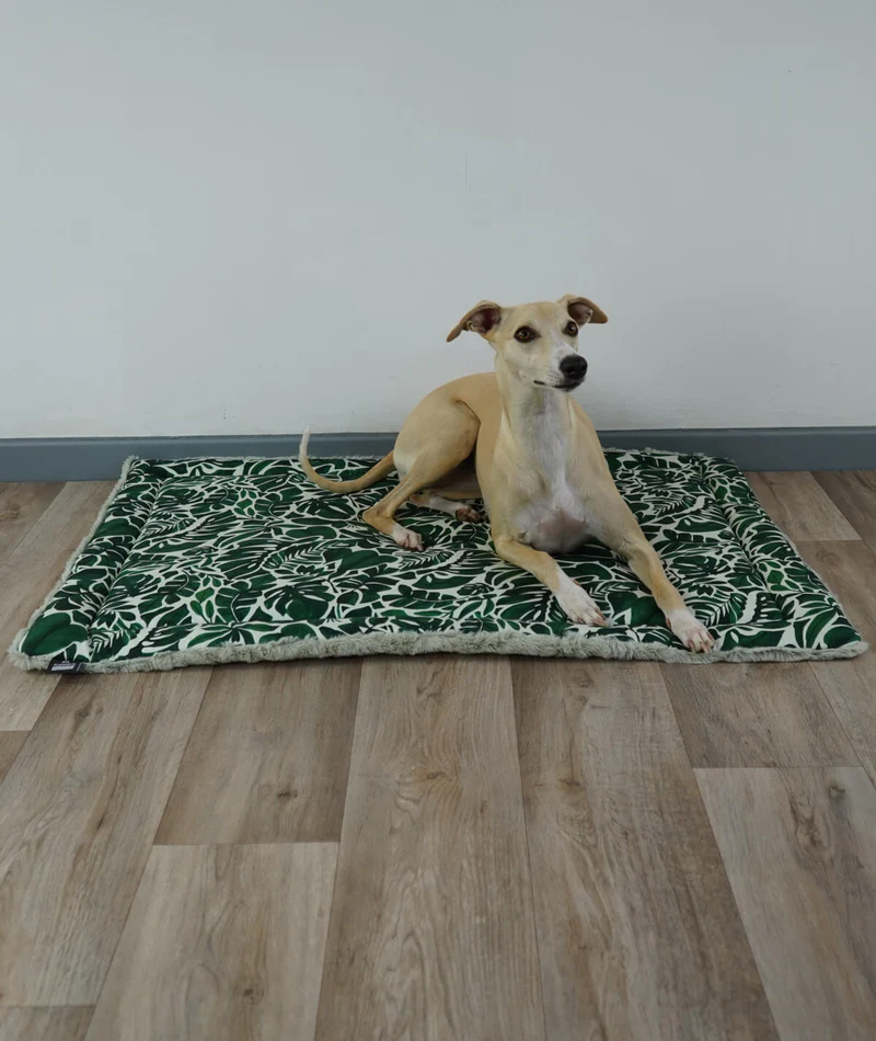 Allround Sommer-Winter Hundedecke – Made in Germany