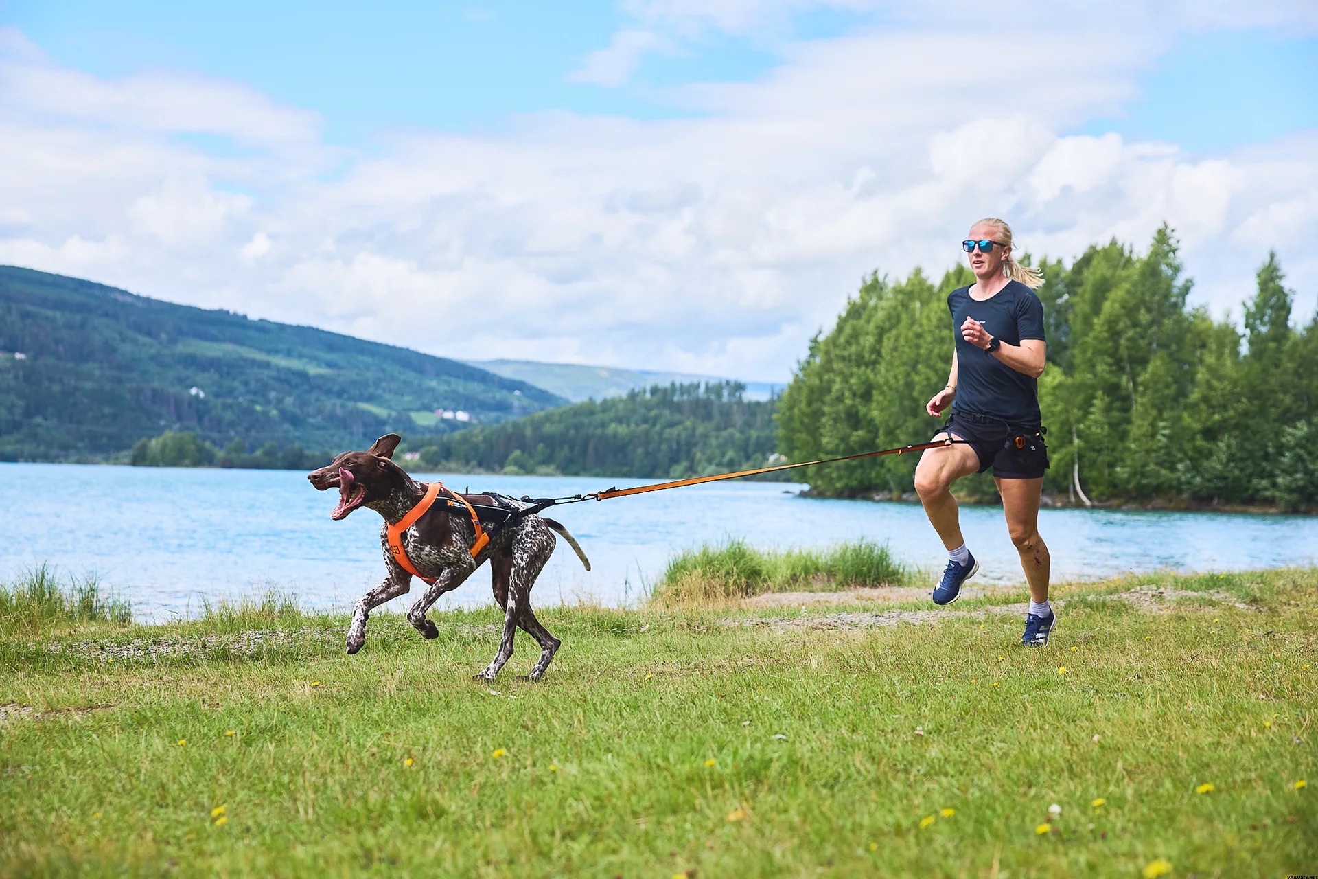 person joggt mit hund am see der ein freemotion 5.0 zuggeschirr trägt