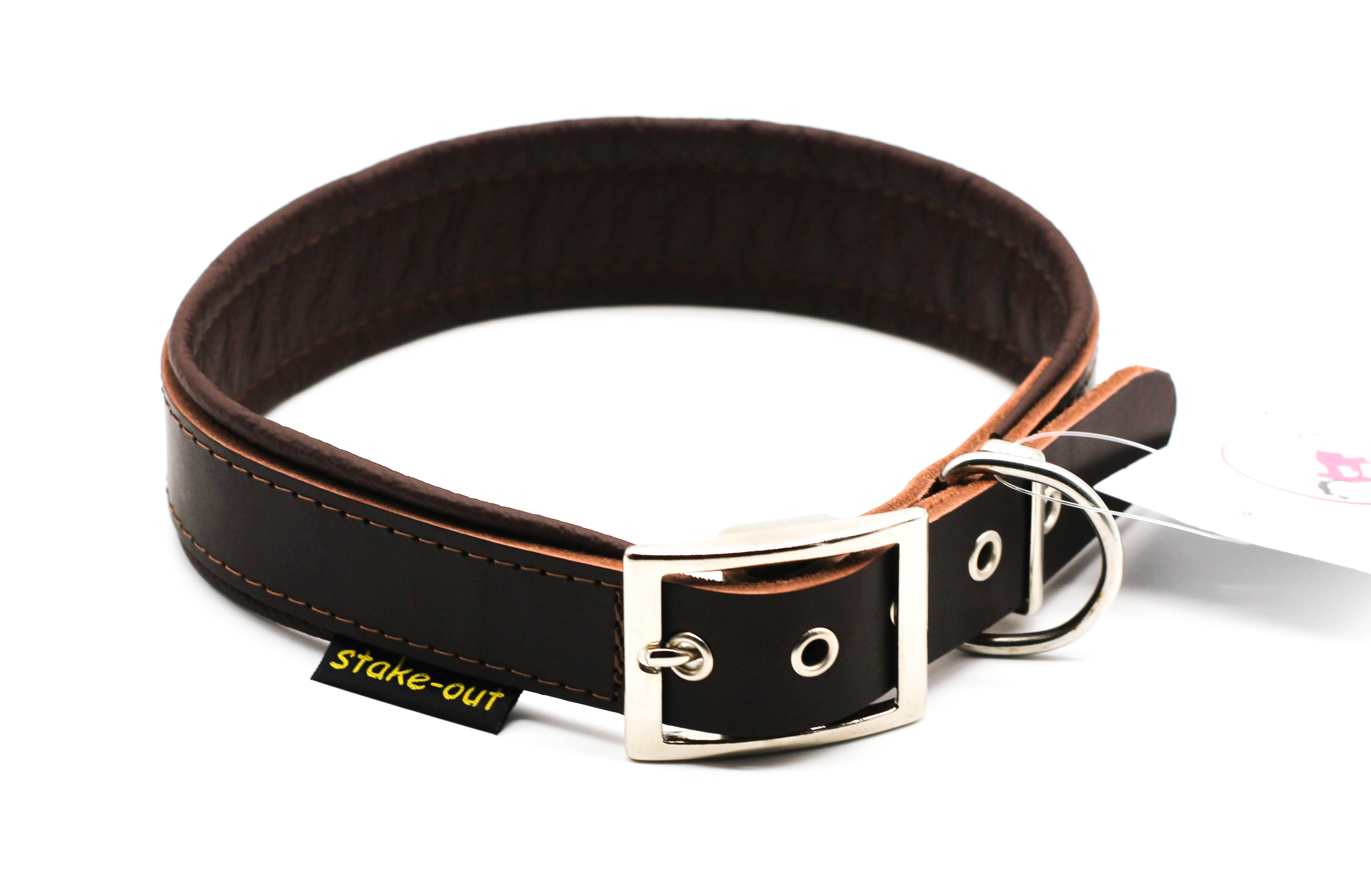 Leder-Hundehalsband Dunkelbraun mit silberner Gürtelschnalle und Nappapolsterung