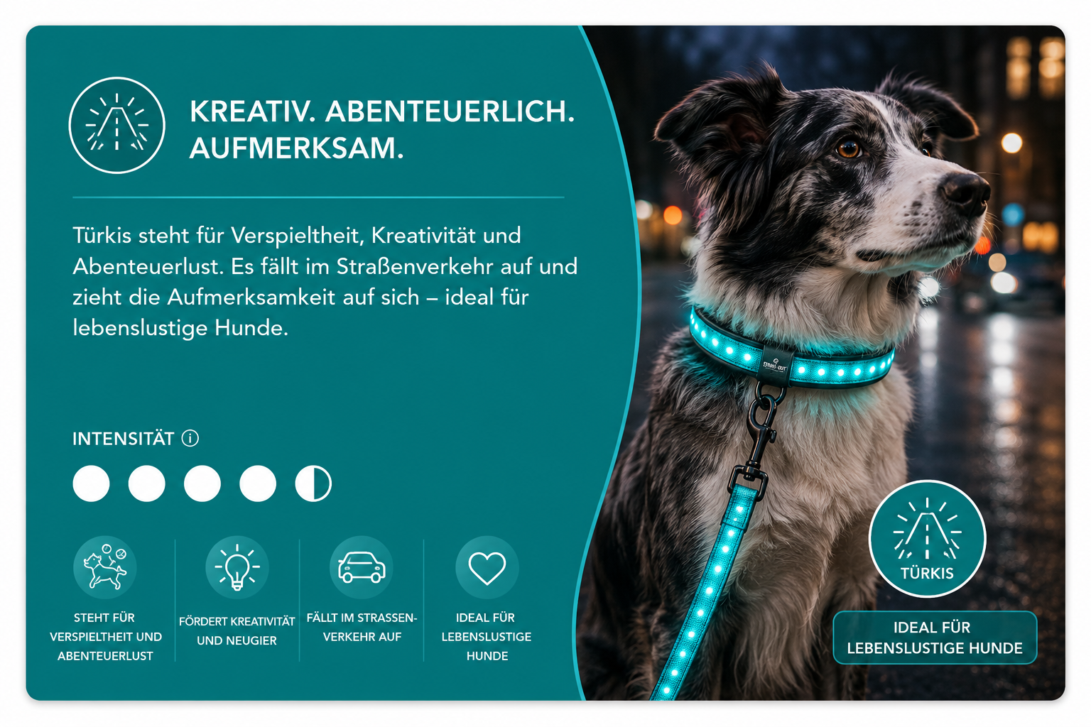 Orbiloc Sicherheitslicht