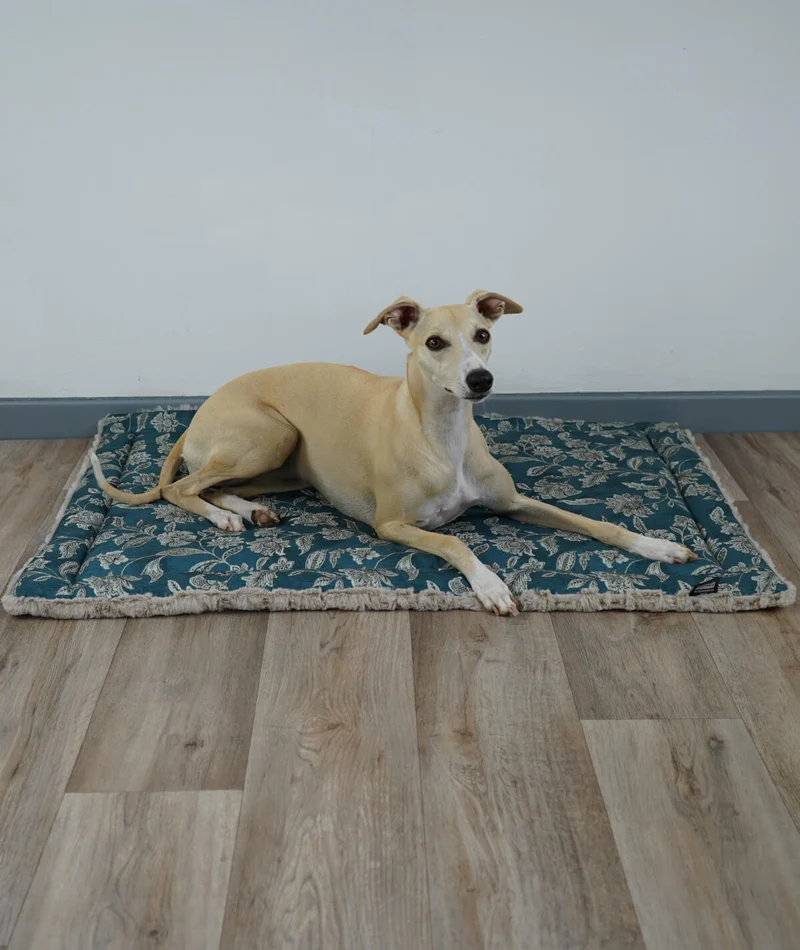 Allround Sommer-Winter Hundedecke – Made in Germany
