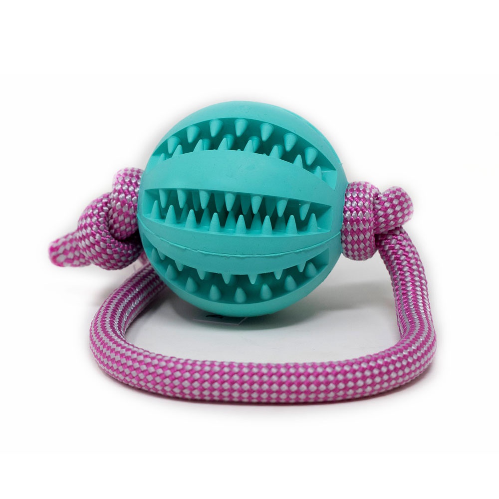 Türkiser Ball am pink-weißen Tau – robustes Hundespielzeug für Wurf- und Zerrspiele