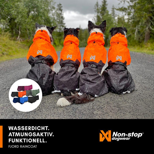 Nonstop Dogwear Fjord Regenmantel in verschiedenen Farben, wasserdichter Mantel für aktive Hunde bei jedem Wetter.