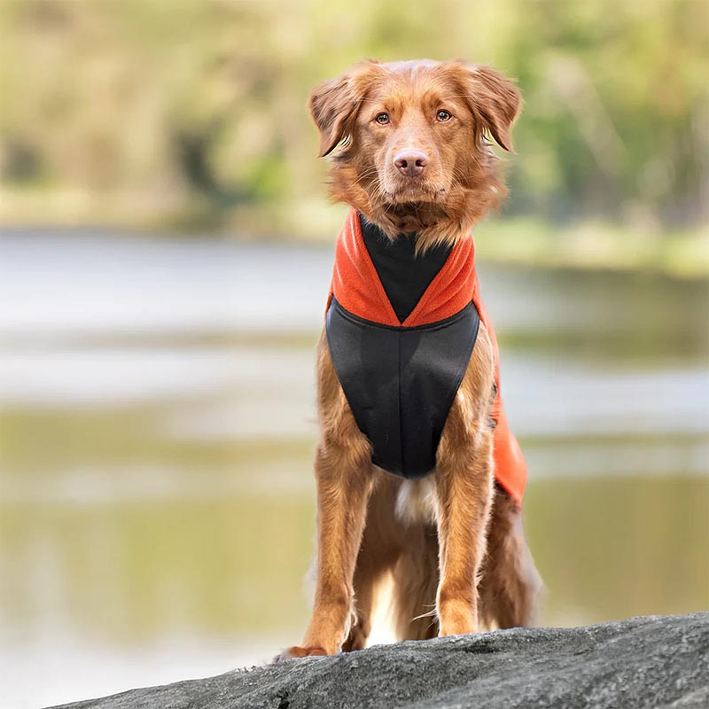 Hund trägt Pomppa Jumppa Fleece Pullover Habanero, Seitenansicht