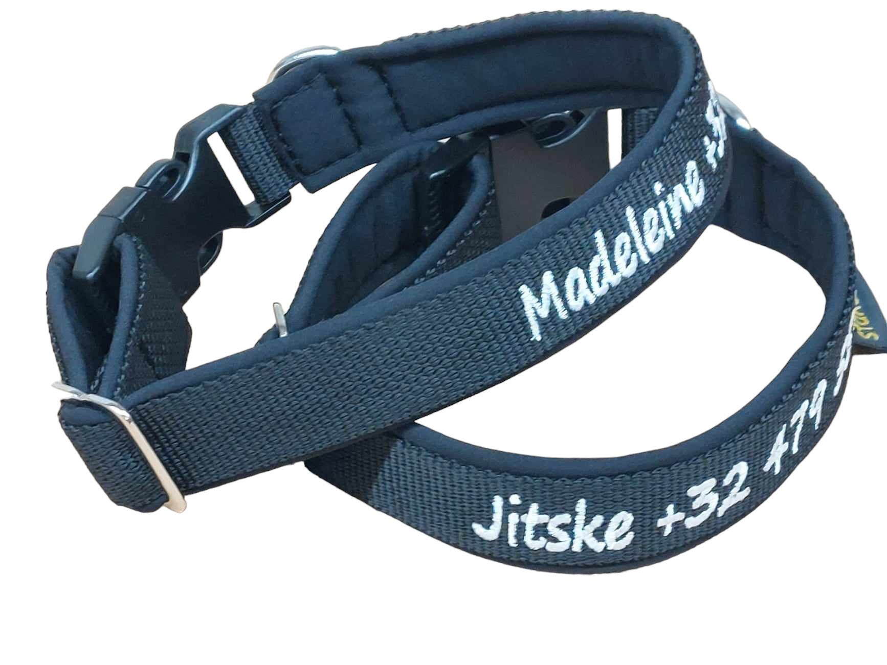 Besticktes Hundehalsband in Blau mit Softshell-Polsterung und Kunststoffsteckschnalle