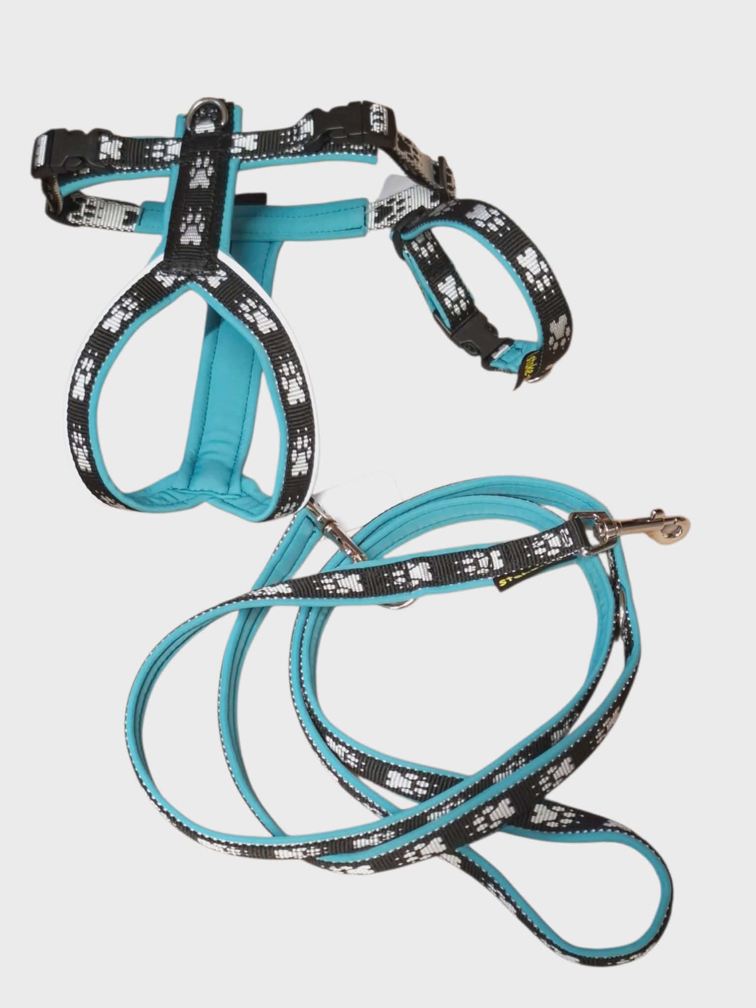 Stake-Out Hundeset Welpen mit Pfotenmotiv – Geschirr Leine Halsband gepolstert Softshell