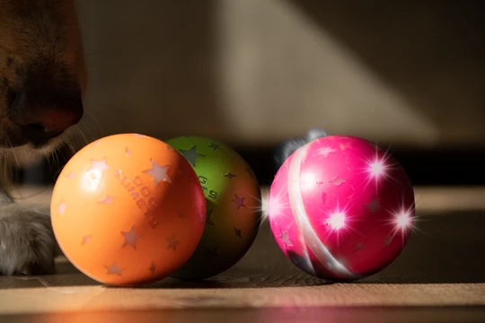 Drei farbige Dog Comet Helix Spielbälle für Hunde in Orange, Grün und Pink liegen auf dem Boden im Sonnenlicht.