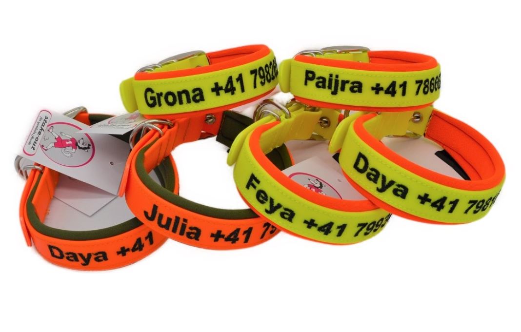 Auswahl an bestickten Biothane-Halsbändern mit Softshell-Polsterung und Gürtelschnalle in mehreren Farben