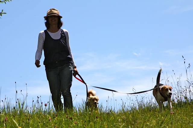 Spaziergang mit zwei Hunden an der Baldolino Biothane Zwillingsleine mit Drehgelenk