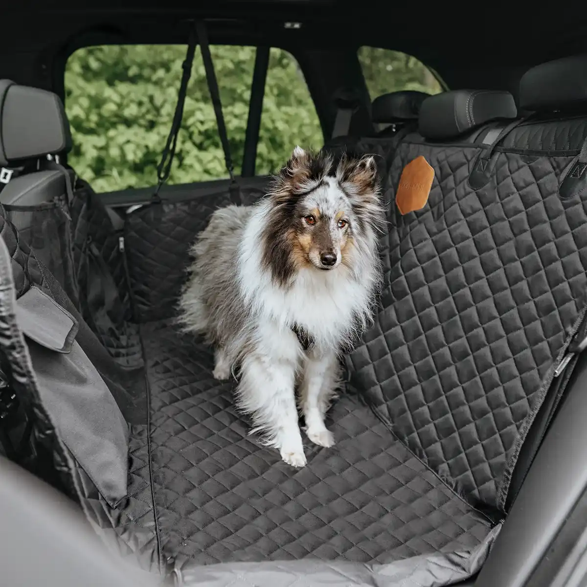 Hund sitzt auf dem Rudelkönig Rücksitzschutz im Auto