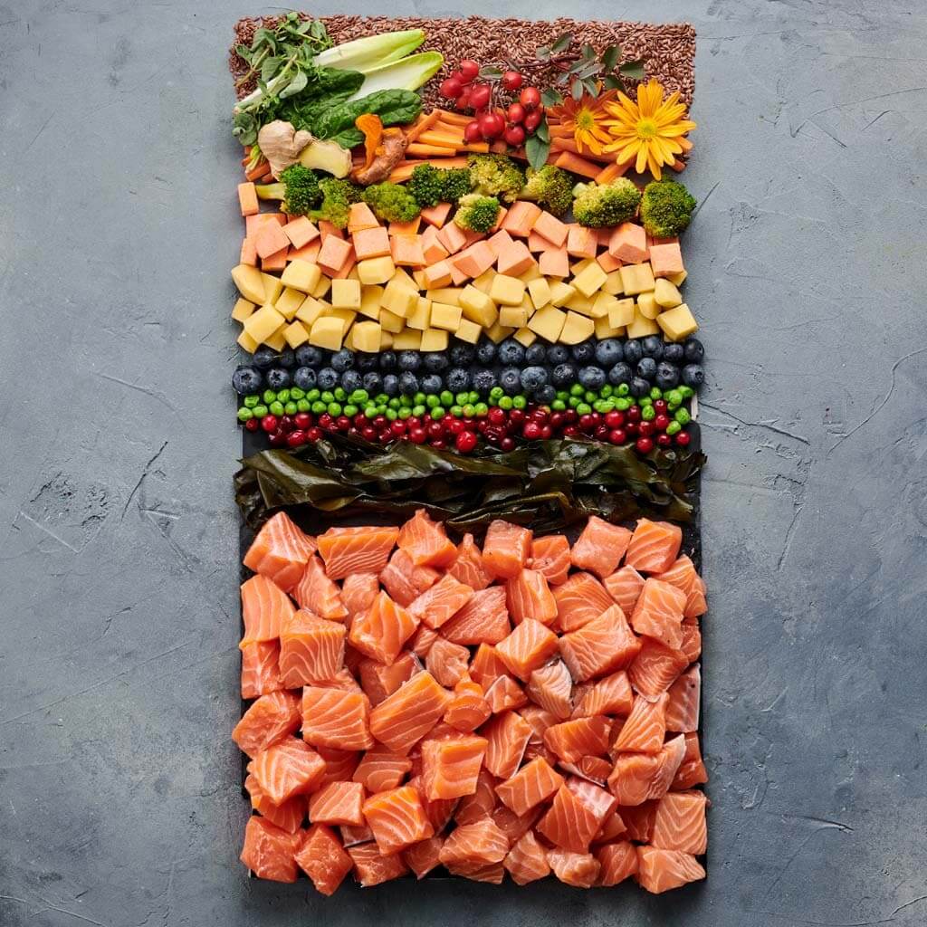 Zutaten für Irish Pure Atlantik-Lachs Hundefutter mit Lachs, Gemüse und Kelp-Algen