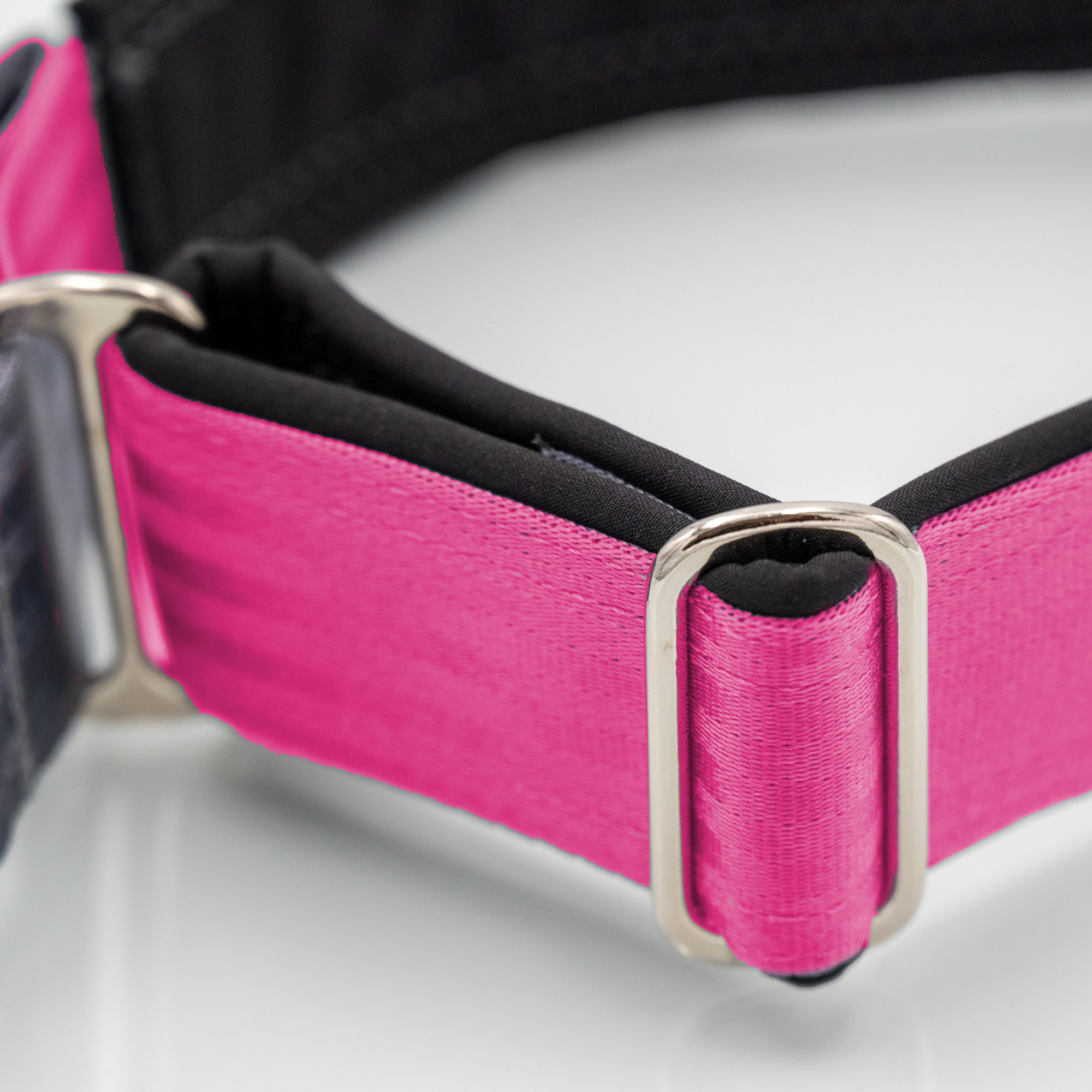 Innenliegende Softshell-Polsterung am Zugstopp-Hundehalsband – Nahaufnahme_var1