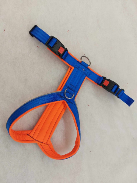 Geschirr blau-orange Gr. M+ (013)