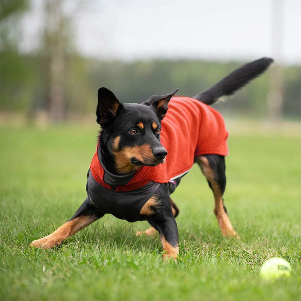 Pomppa Jumppa Fleece Pullover Habanero