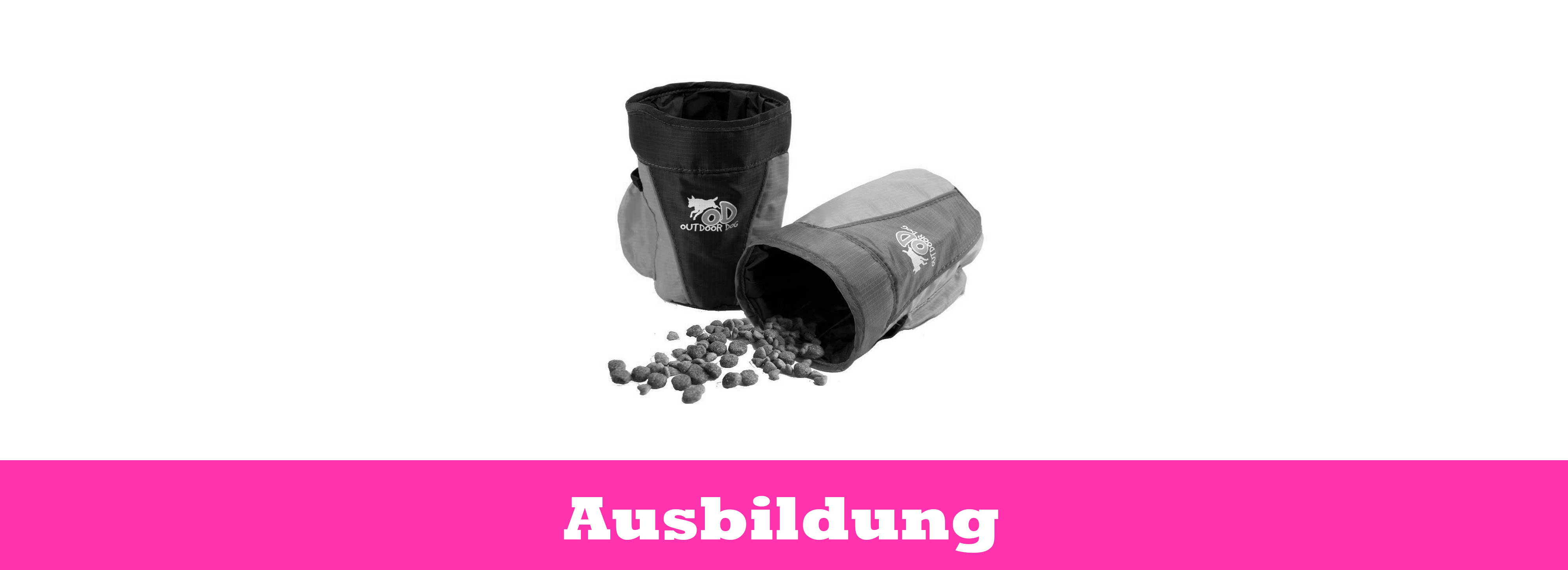 Ausbildung