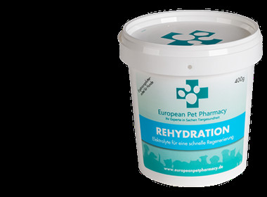 Rehydration - Regeneration für Hunde