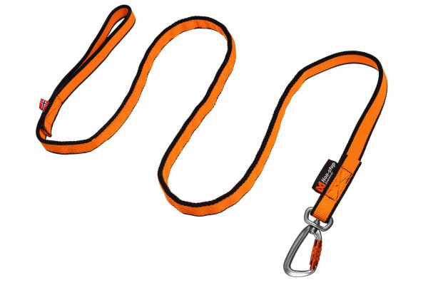 Non-stop Bungee Leash Ruckdämpferleine