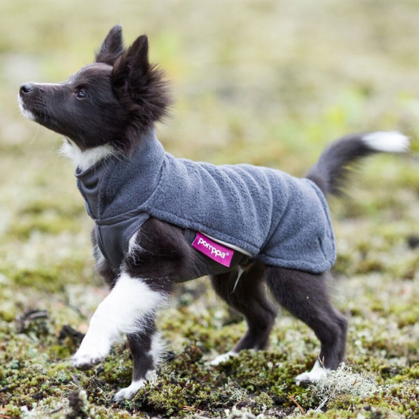 Pomppa Jumppa Fleece Pullover Hunde Bekleidung Stake Out.de